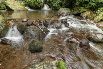 冲水流溪床上雨森林水流