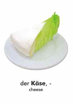 德国词卡kaese奶酪