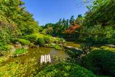 在洋子池塘花园taizo-in寺庙《京都议定书》