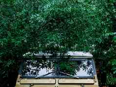 绿色叶子封面Safari车生活旅程凹陷
