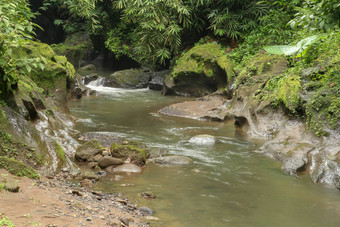 美丽的纹理石头河床抛光山河流包围野生热带雨林阳光明媚的夏天一天巴厘岛印尼