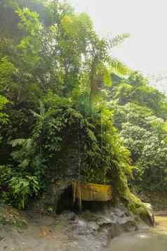 桥河巴厘岛的丛林印尼