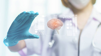 医生手持有透明的平板电脑显示显示大脑可控硅