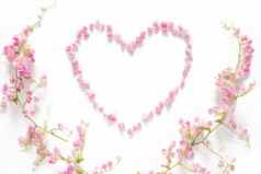 平躺花心使粉红色的花孤立的白色背景粉红色的花边境框架前视图花有创意的作文