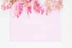 平躺粉红色的花粉红色的柔和的邀请卡孤立的白色背景自然花邀请卡概念