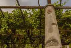 典型的桥塔石头石灰葡萄园carema皮埃蒙特意大利