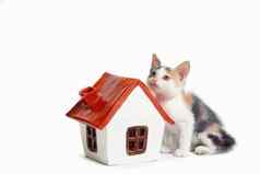 采用三原色小猫房子红色的屋顶