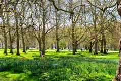 绿色公园伦敦温暖的春天一天人坐着