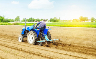 农民拖拉机使脊成堆行农场场标记区域种植土壤准备农业农业综合企业农业行业日益增长的蔬菜食物植物