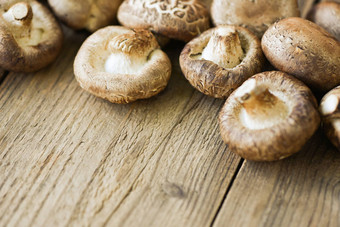 新鲜的蘑菇木表格背景香菇蘑菇