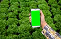农民拍摄幼苗植物温室移动农夫拍摄幼苗植物温室移动电话技术农业概念