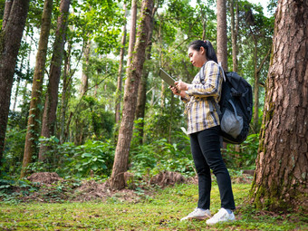 年轻的女人旅行者搜索全球定位系统(gps)坐标平板电脑森林夏天假期一天生活方式徒步旅行概念