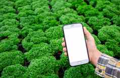 农民拍摄幼苗植物温室移动农夫拍摄幼苗植物温室移动电话技术农业概念