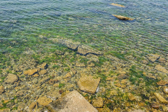 海边悬崖海藻