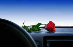 红色的玫瑰花谎言指示板内部车