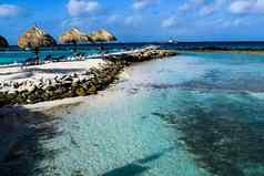 阿鲁巴岛文艺复兴时期的岛加勒比海阳光明媚的海滩白色沙子椰子棕榈树绿松石海夏天假期热带海滩粉红色的火烈鸟