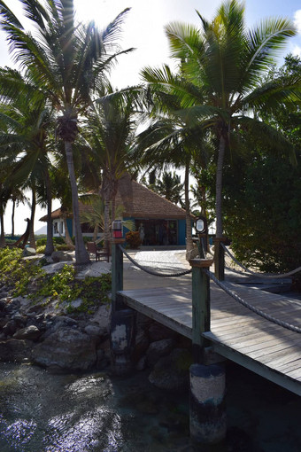 阿鲁巴岛文艺复兴时期的岛加勒比海阳光明媚的海滩白色沙子椰子棕榈树绿松石海夏天假期热带海滩粉红色的火烈鸟