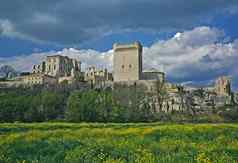 montmajour修道院阿尔勒参观了画文森特的梵高