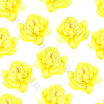 牡丹白色背景无缝的模式水<strong>彩绘</strong>画美丽的<strong>花花</strong>插图浪漫的黄色的玫瑰