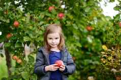 女孩苹果苹果树