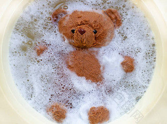 洗熊(棕色（的）熊(浸泡