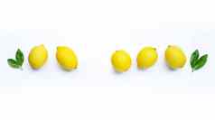 新鲜的柠檬叶子白色背景复制空间文本
