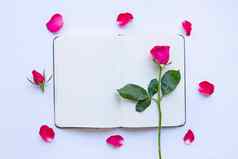 日记笔记本玫瑰白色背景前视图