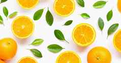 新鲜的橙色柑橘类水果叶子孤立的白色背气