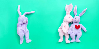 破碎的心兔子玩具兔子夫妇爱绿色回来