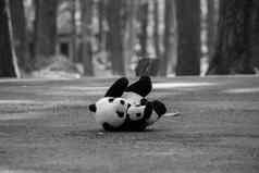 熊猫娃娃左路松森林情感表达式概念