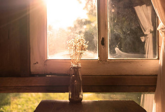 干花花瓶木表格窗口房间阳光晚上秋天概念