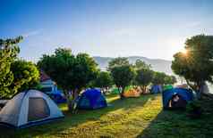 野营帐篷自然公园日出