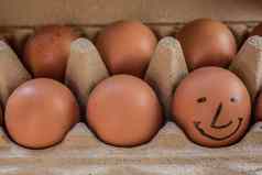 棕色（的）鸡蛋快乐鸡