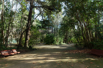 公园坎波大巴利亚多利德西班牙