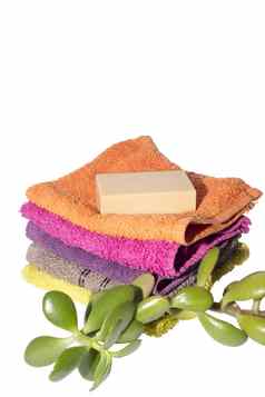 绿色植物肥皂前洗脸毛巾