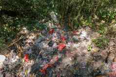 塑料浪费垃圾垃圾林地垃圾环境森林保存自然生态污染概念