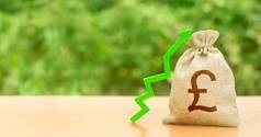 钱袋英镑英镑英镑象征绿色箭头增加利润财富增长工资投资吸引力贷款补贴有利的条件有利的条件业务