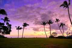 日落海岸考艾岛夏威夷