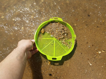 绿色塑料托盘筛沙子挑选贝壳岩石