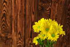 美丽的新鲜的黄色的菊花棕色（的）木背景特写镜头拍摄黄色的雏菊花