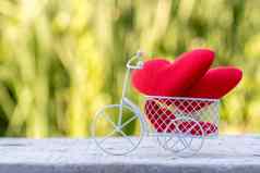夫妇红色的心花俏的白色自行车情人节一天