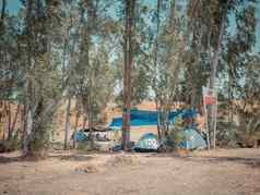 圆顶帐篷野营网站桉树树约旦谷以色列