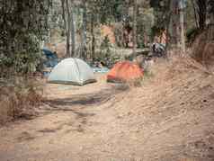圆顶帐篷野营网站桉树树约旦谷以色列