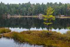 孤独的秋天树小岛湖