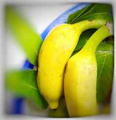 香蕉叶叶子安排碗健康的食物维生素健康的每天水果