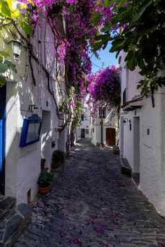 细节美丽的小小镇位于卡科斯塔布拉瓦加泰罗尼亚西班牙