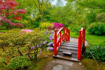 <strong>日本花园</strong>公园clingendael黑格荷兰