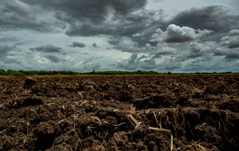 农业耕种场黑色的土壤耕种场狂风暴雨的