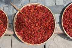 红色的辣椒胡椒干燥盘子