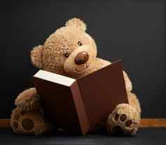 棕色（的）泰迪熊坐着书黑色的背景